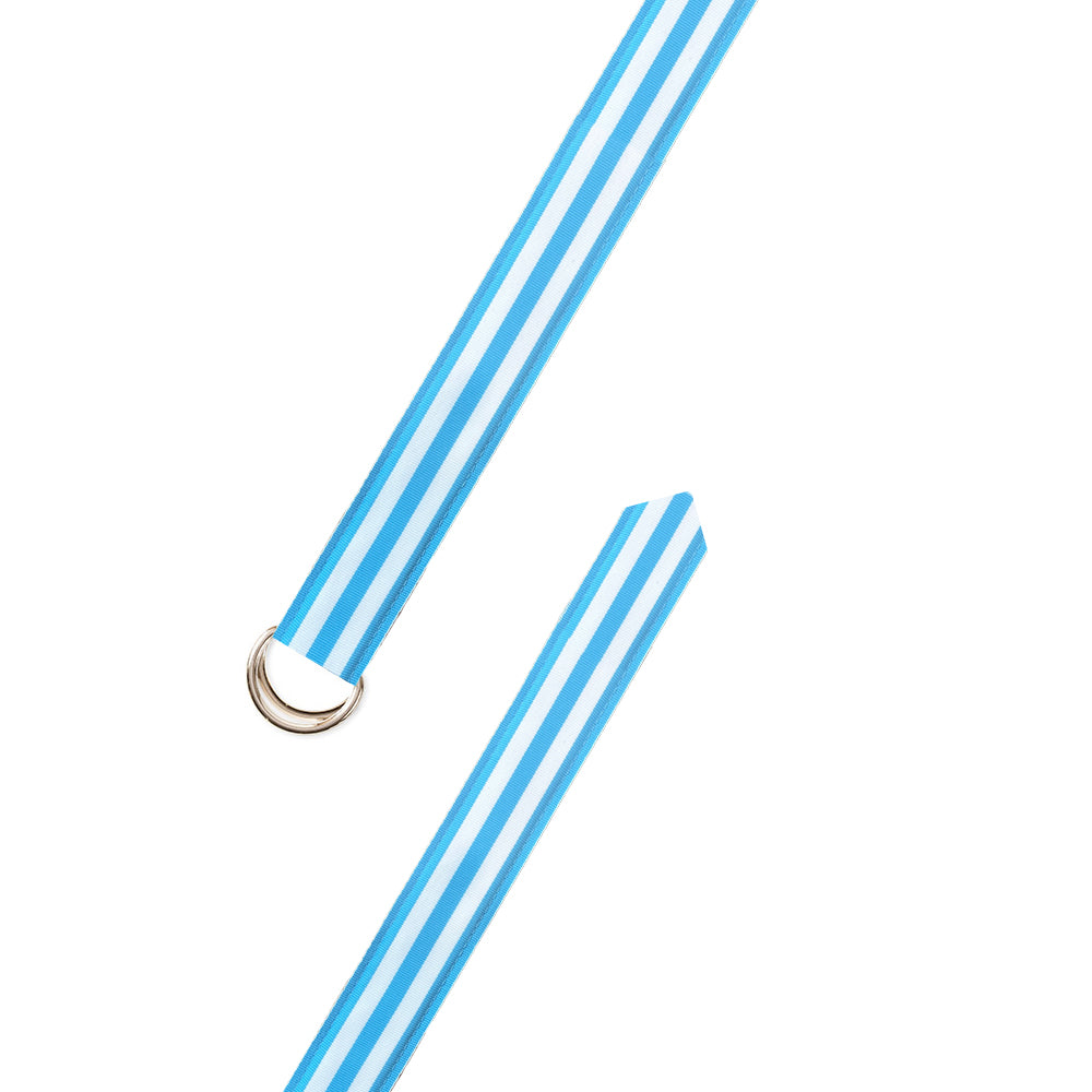 Carolina Blue &amp; White Grosgrain Ribbon D-Ring Belt