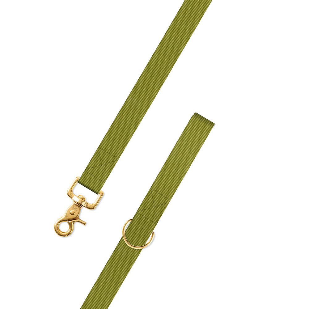 Textured Grass Green Belgian Surcingle Dog Leash