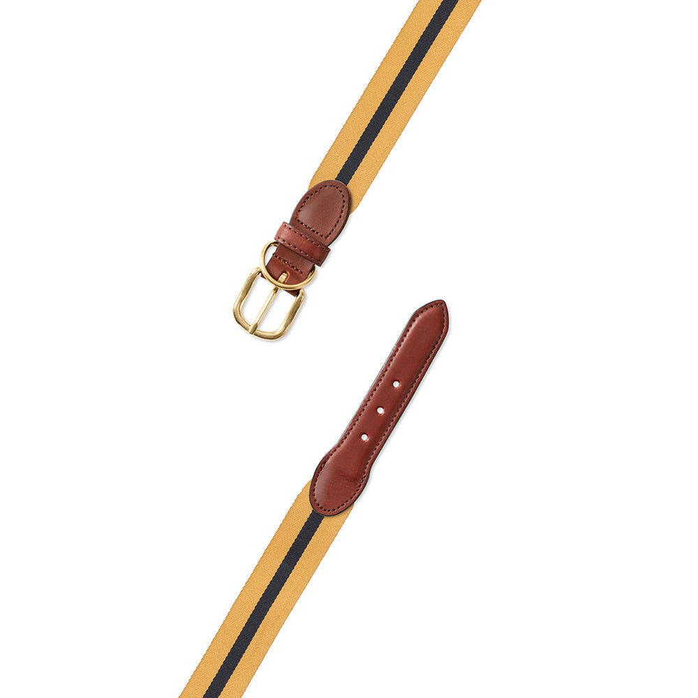 Yellow &amp; Navy Belgian Surcingle Dog Collar