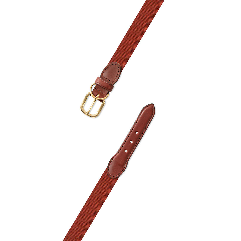 Rust Surcingle Dog Collar