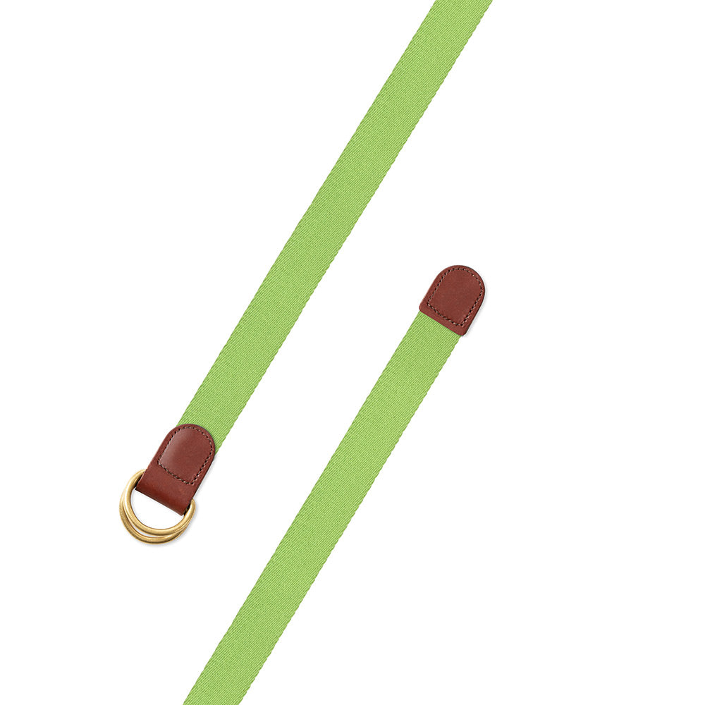Spring Green Surcingle D-Ring Belt