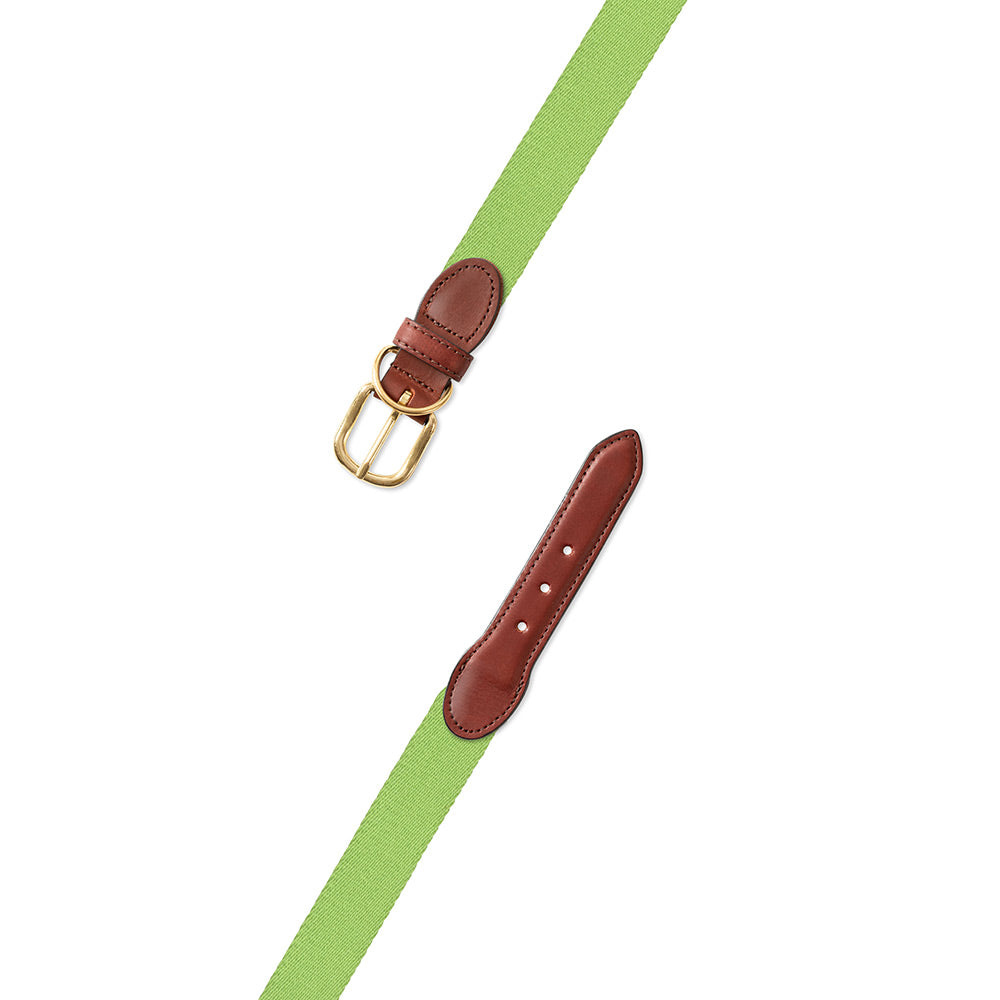 Spring Green Surcingle Dog Collar