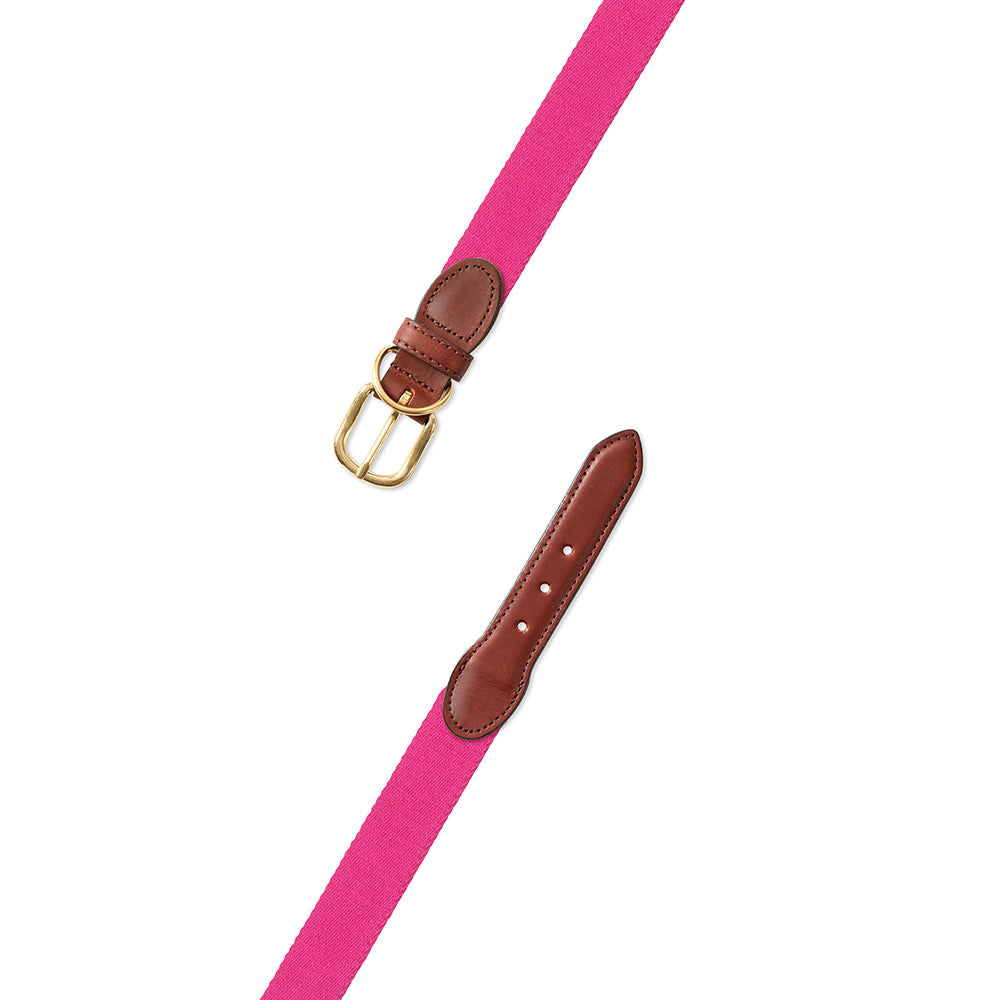 Hot Pink Surcingle Dog Collar