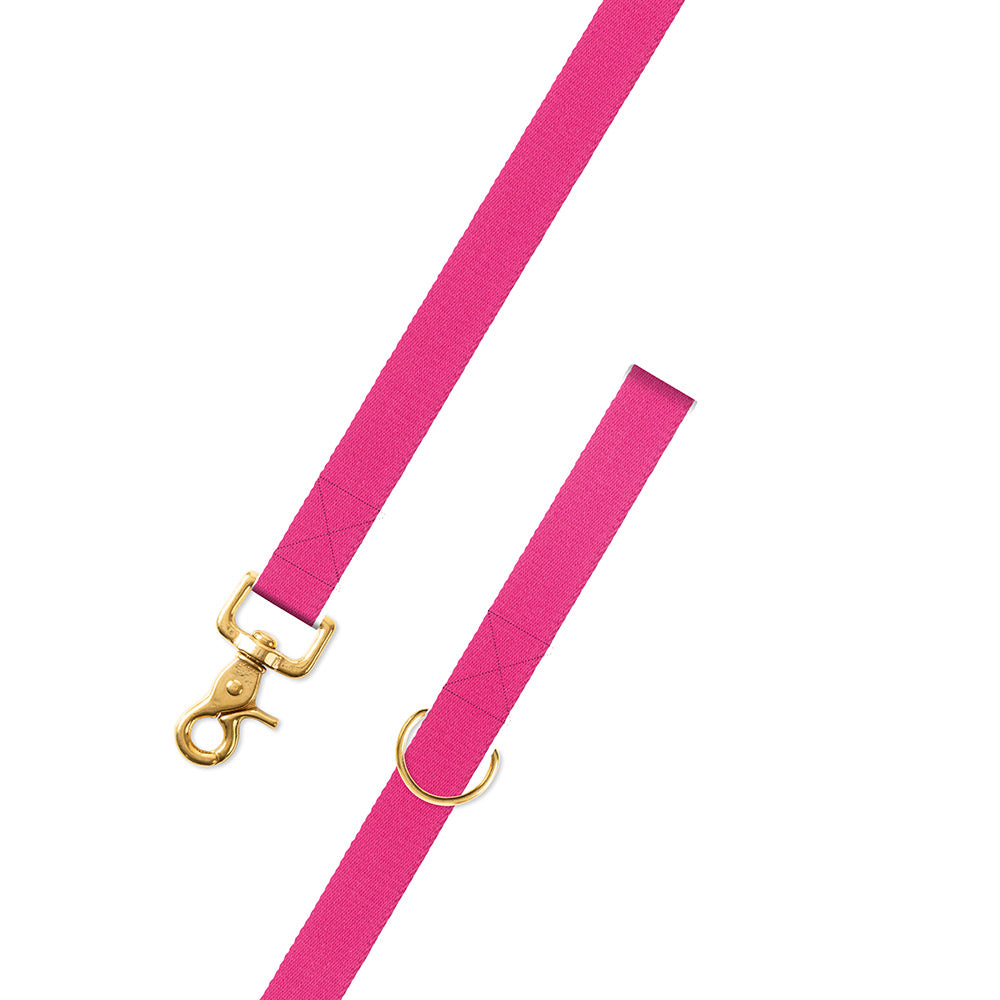Hot Pink Surcingle Dog Leash