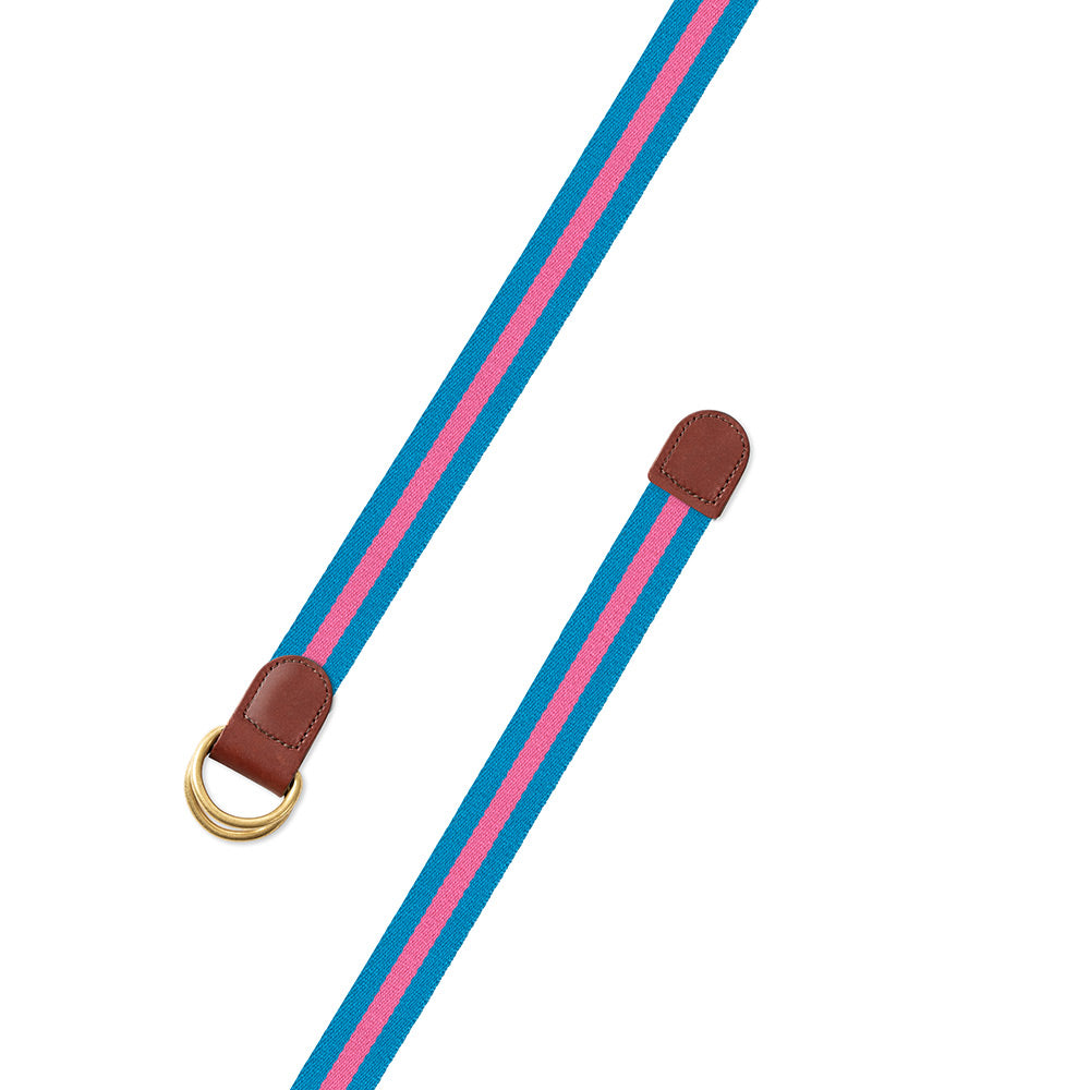 Light Blue &amp; Pink Surcingle D-Ring Belt