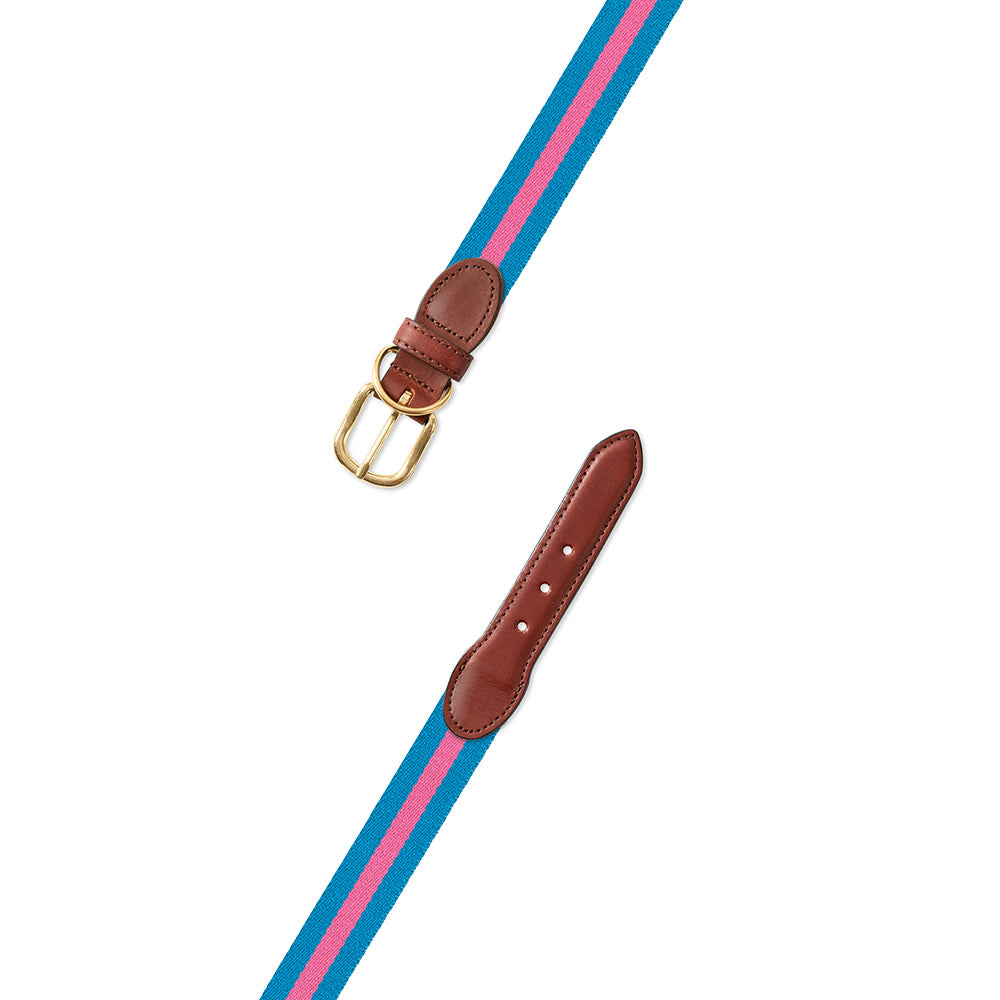 Light Blue &amp; Pink Surcingle Dog Collar