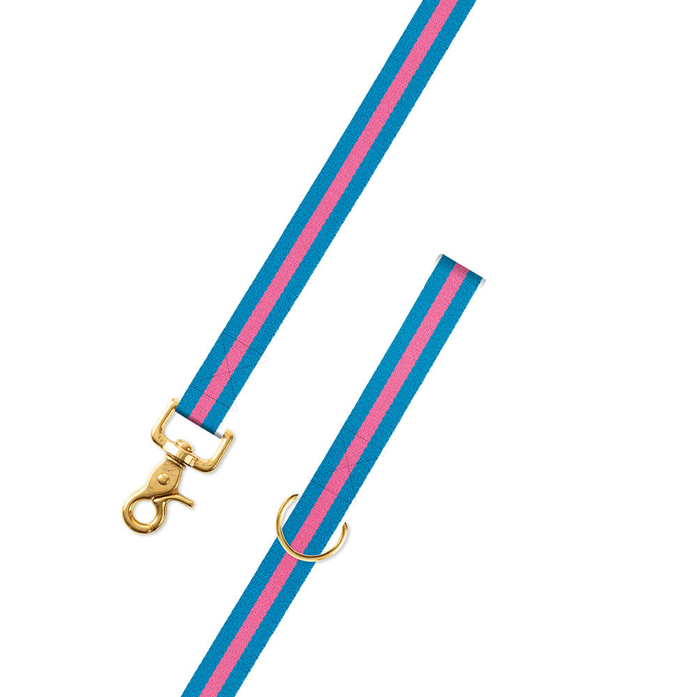 Light Blue &amp; Pink Surcingle Dog Leash