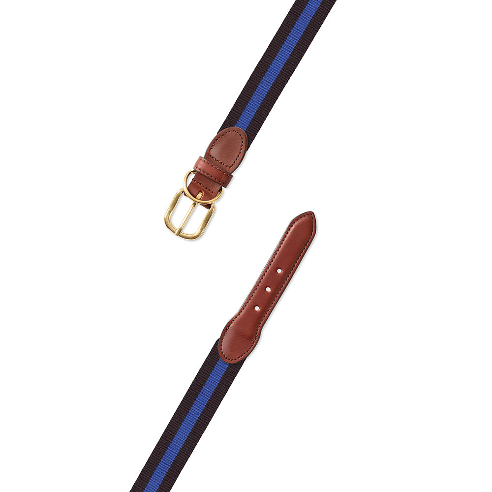 Black &amp; Blue Surcingle Dog Collar