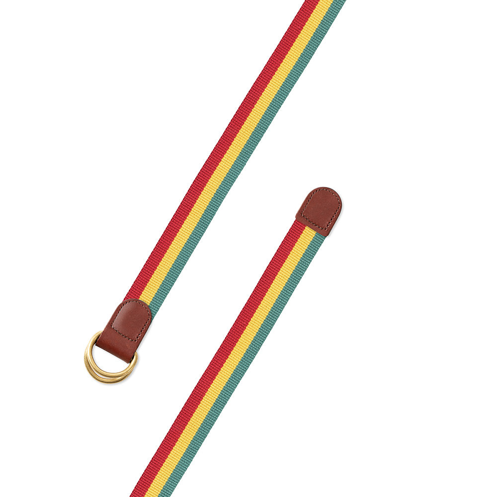 Red, Yellow &amp; Green Surcingle D-Ring Belt