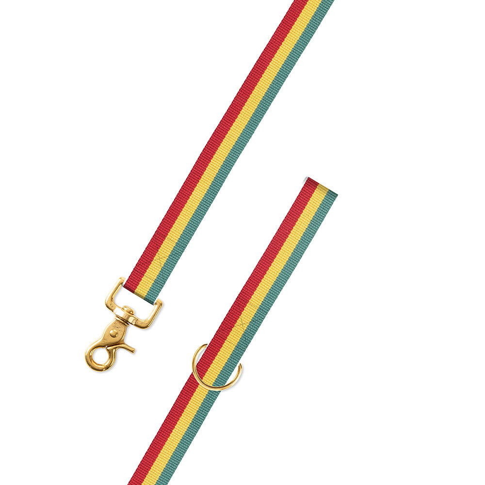 Red, Yellow &amp; Green Surcingle Dog Leash