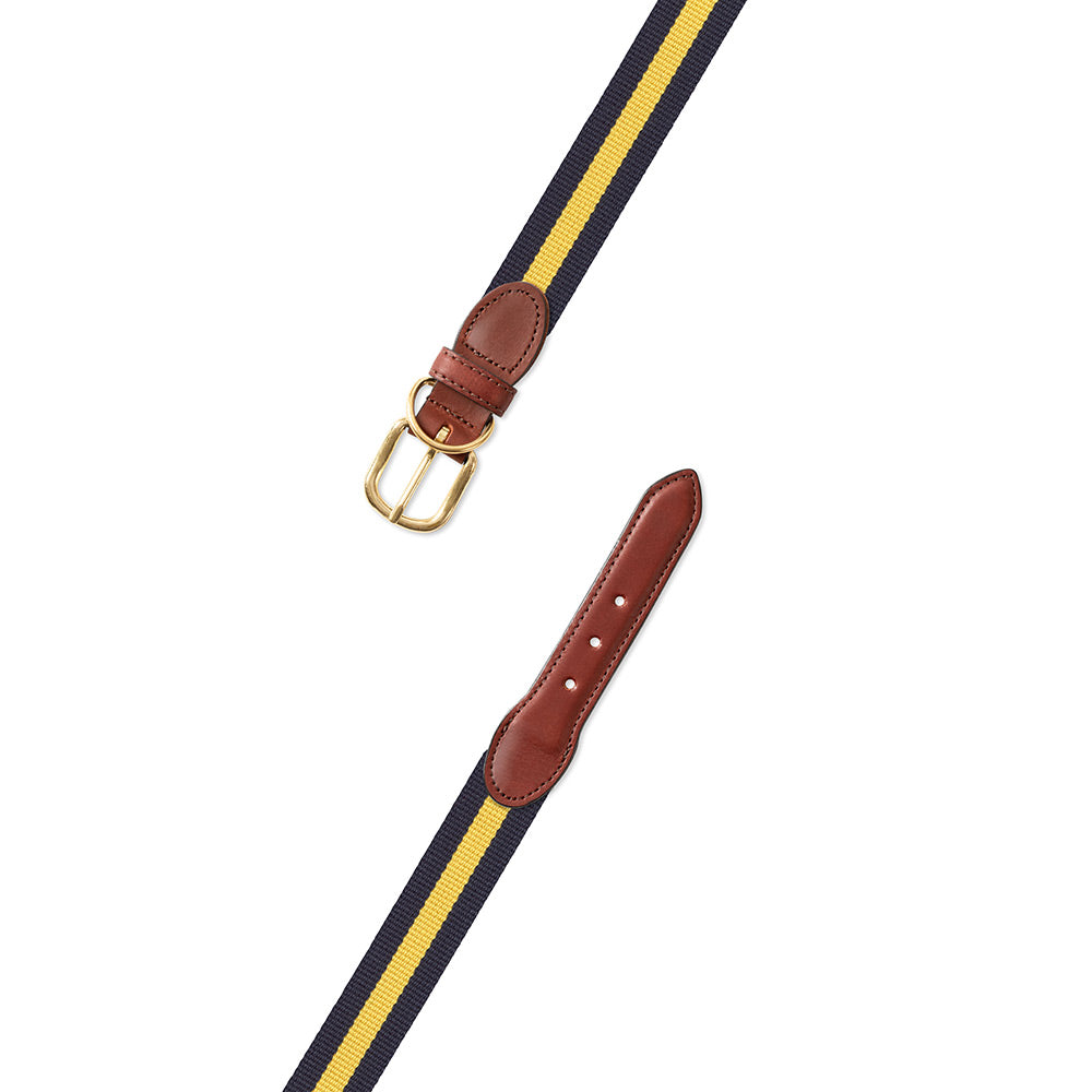 Navy &amp; Yellow Surcingle Dog Collar