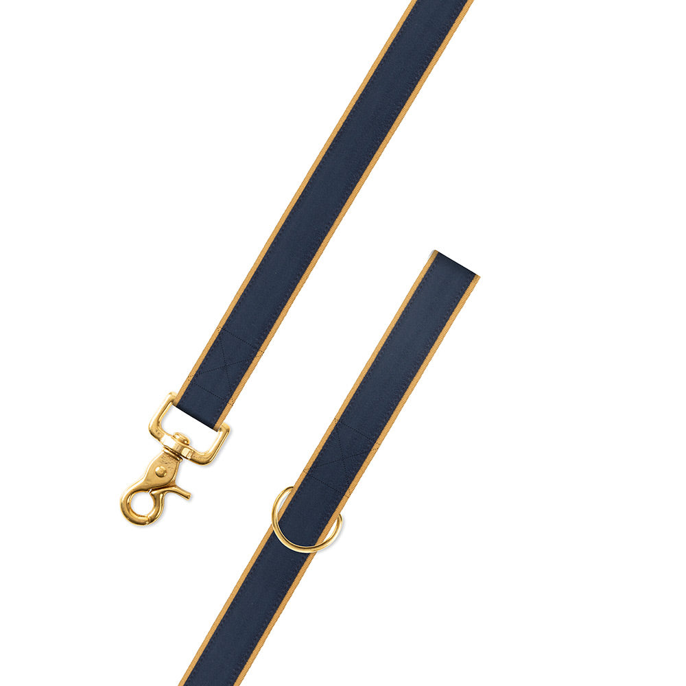 Navy on Gold Suede Dog Leash