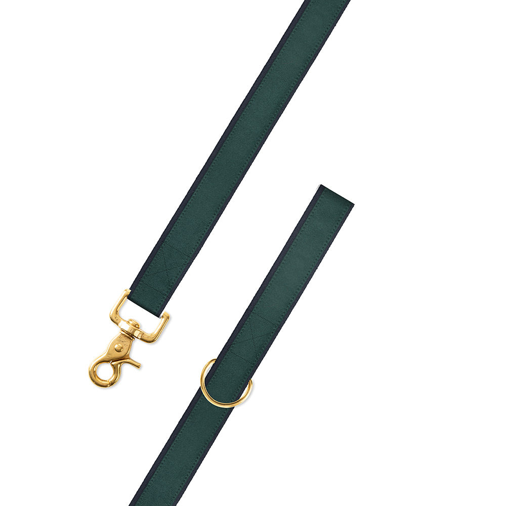 Green on Navy Suede Dog Leash