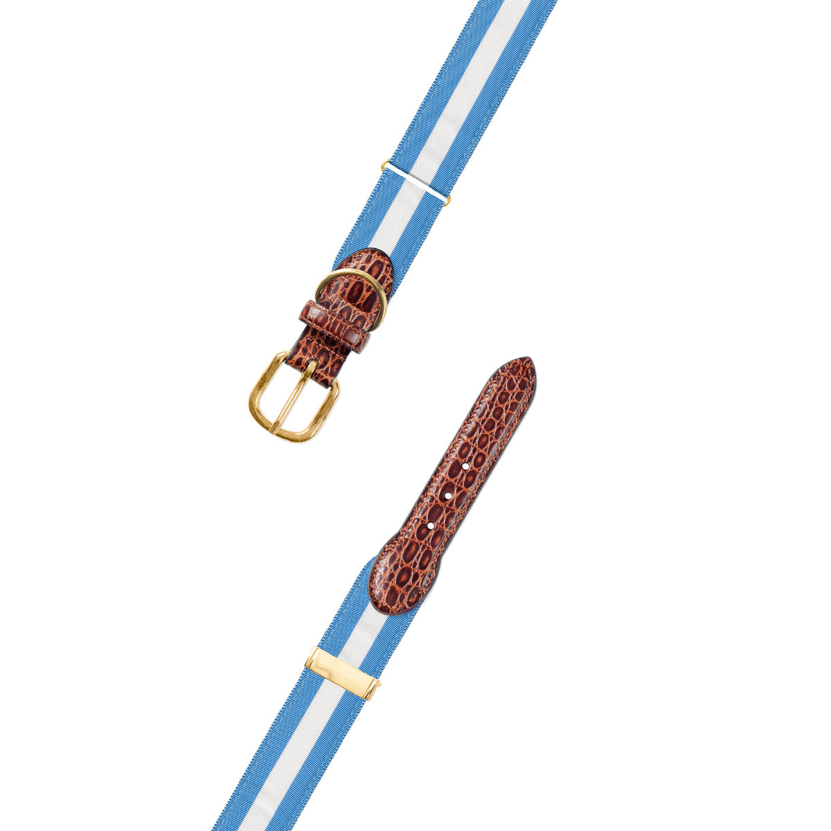 Adjustable Carolina Blue &amp; White Grosgrain Dog Collar with Embossed Calf Tabs
