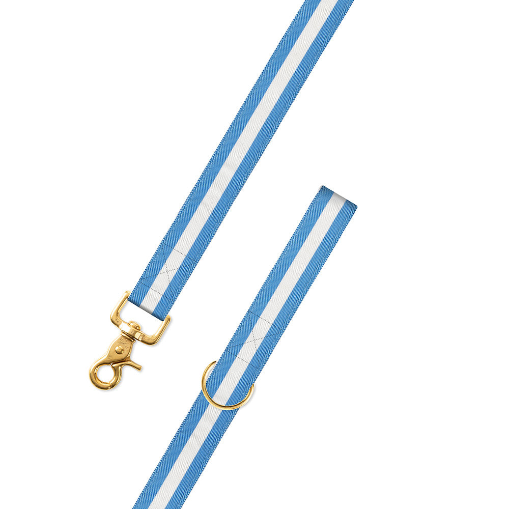Carolina Blue &amp; White Grosgrain Ribbon Dog Leash