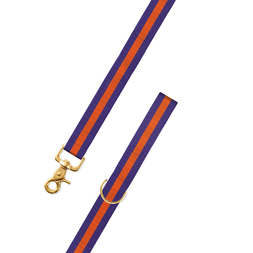 Purple &amp; Orange Grosgrain Ribbon Dog Leash