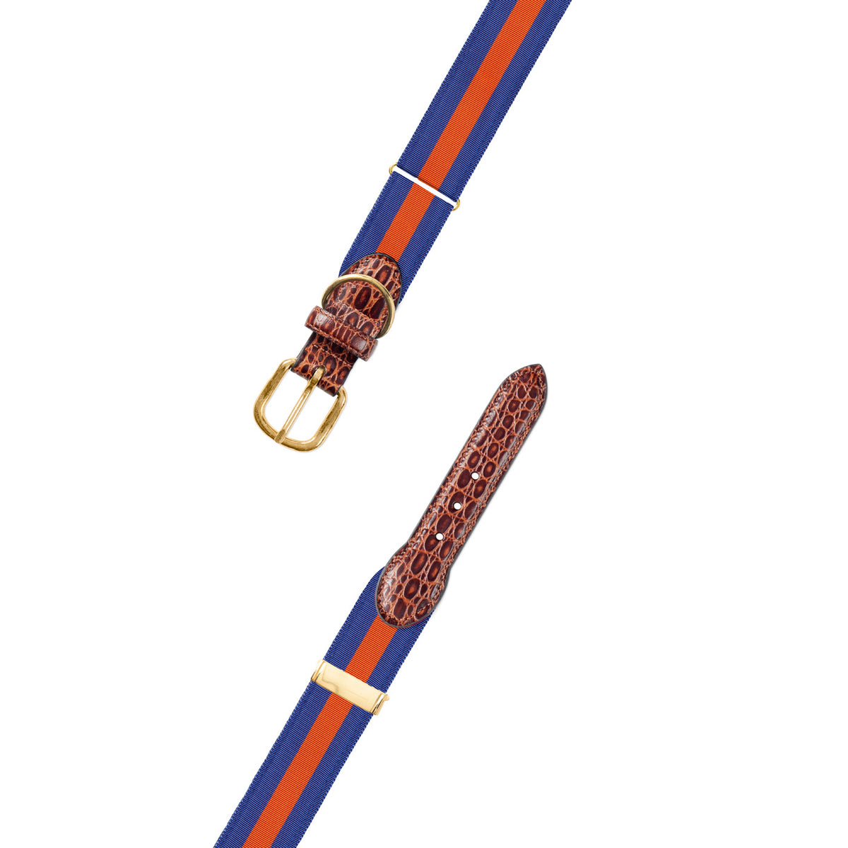 Adjustable Blue &amp; Orange Grosgrain Dog Collar with Embossed Calf Tabs