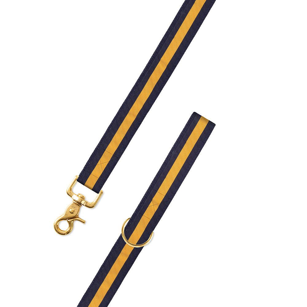 Navy &amp; Maize Yellow Grosgrain Ribbon Dog Leash
