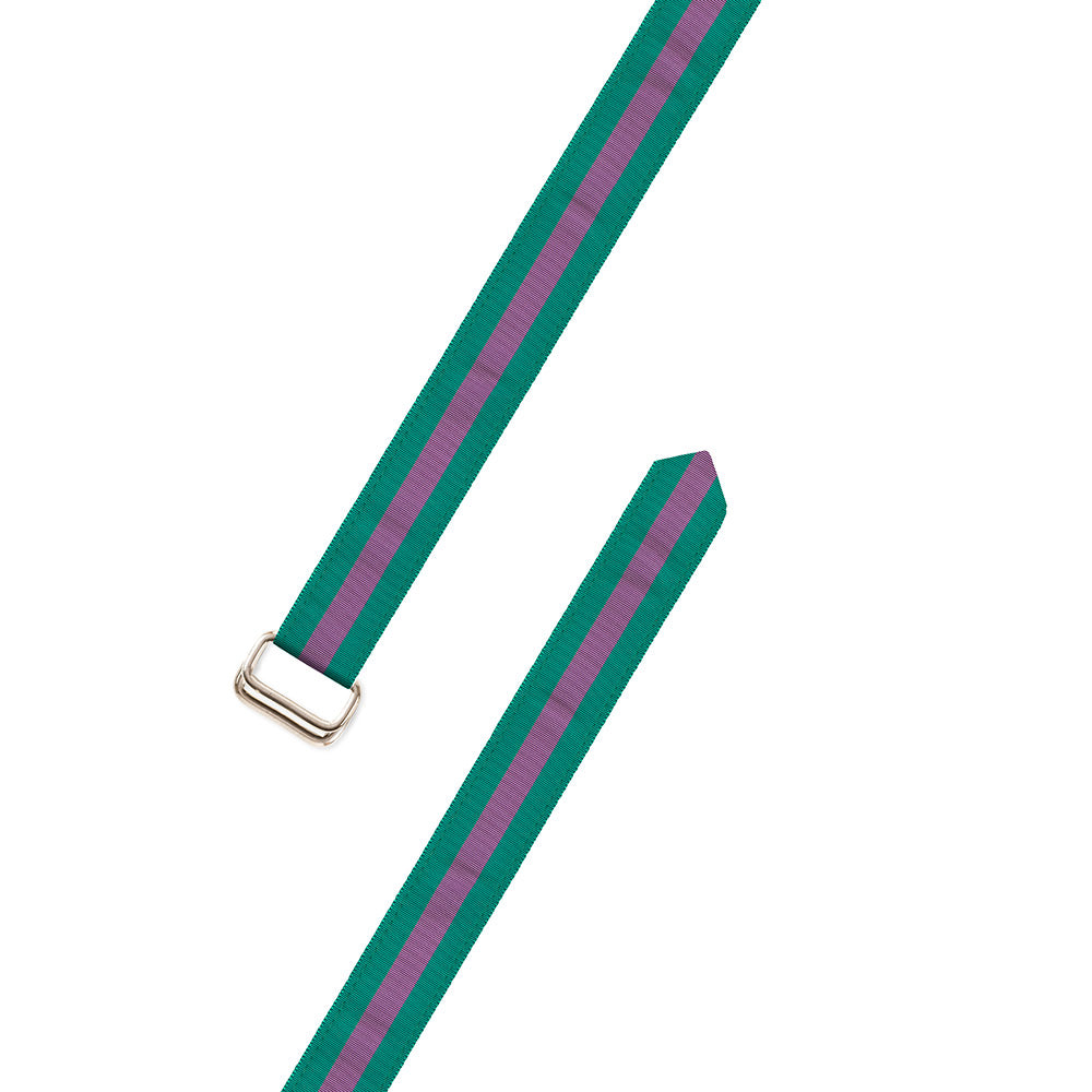 Green &amp; Purple Grosgrain Ribbon D-Ring Belt