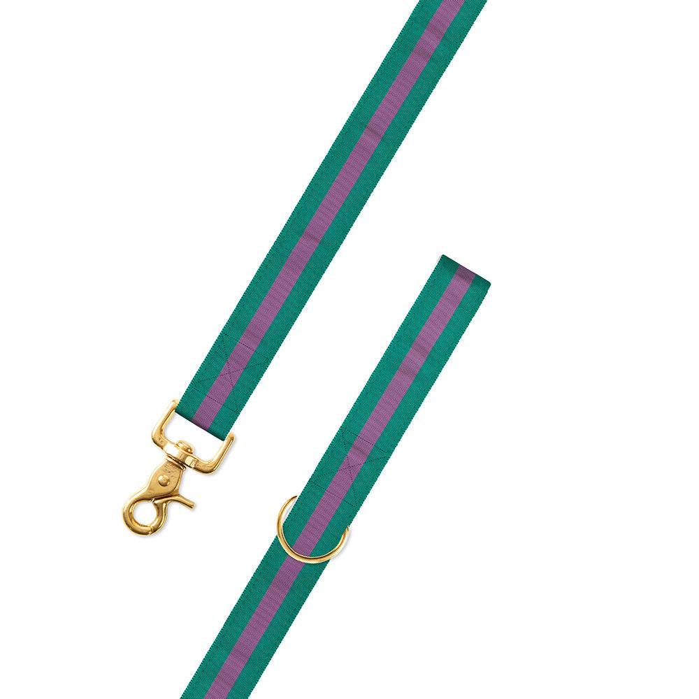 Green &amp; Purple Grosgrain Ribbon Dog Leash
