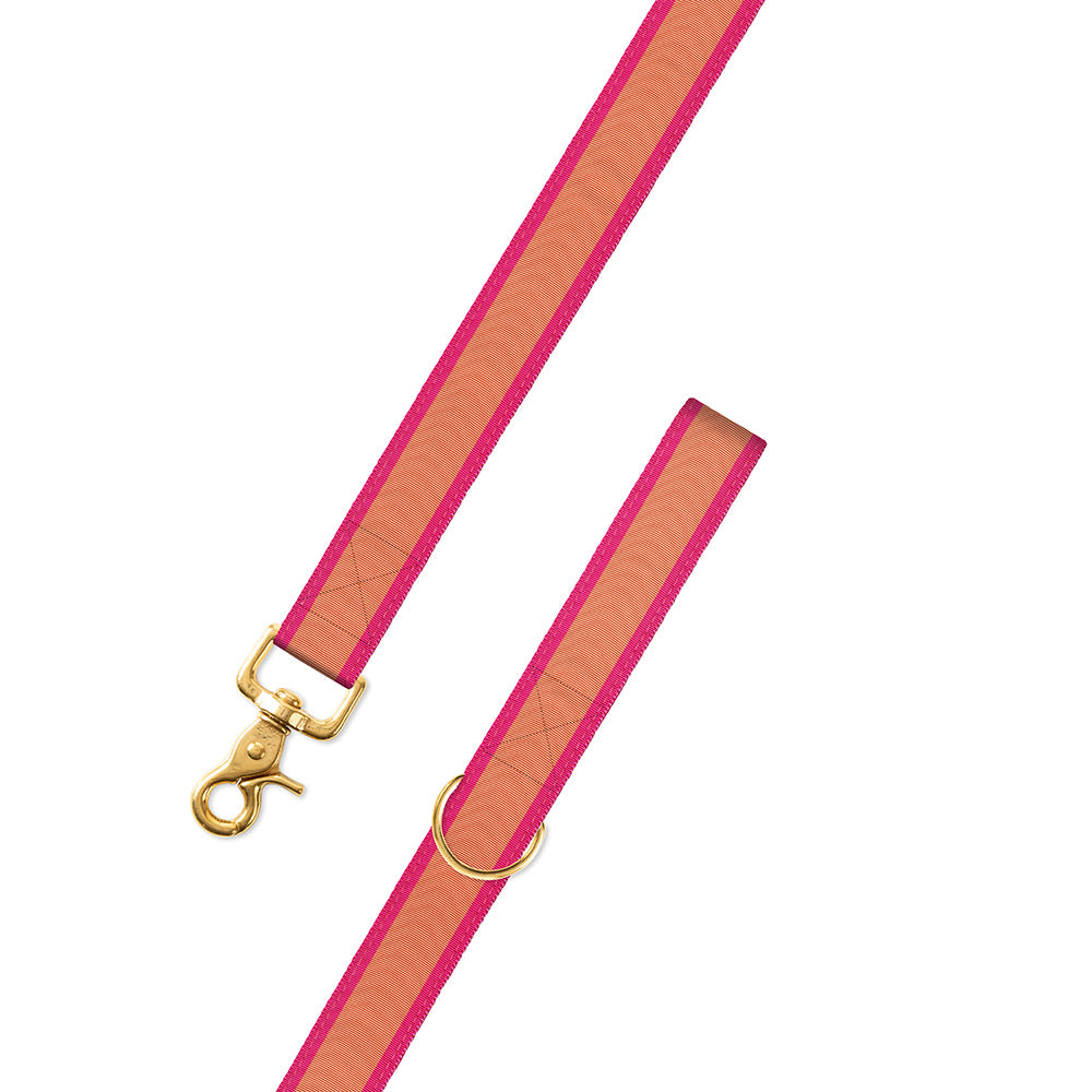Salmon &amp; Pink Grosgrain Ribbon Dog Leash