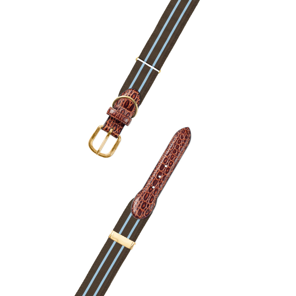 Adjustable Brown &amp; Light Blue Grosgrain Dog Collar with Embossed Calf Tabs