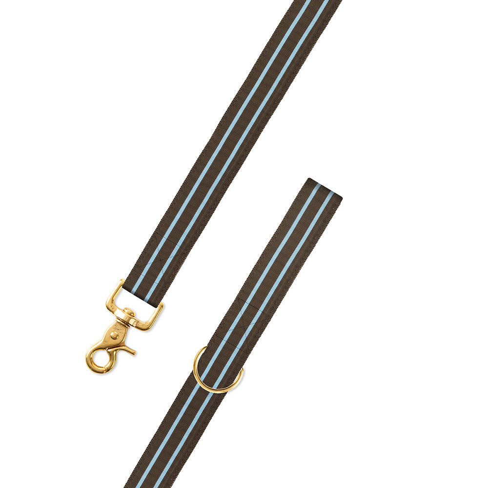 Brown &amp; Light Blue Grosgrain Ribbon Dog Leash