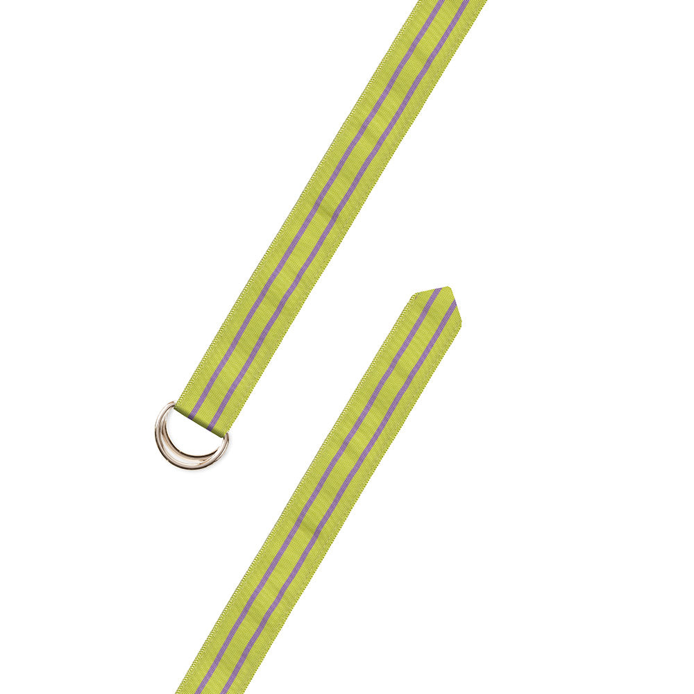 Grass Green &amp; Lavender Grosgrain Ribbon D-Ring Belt