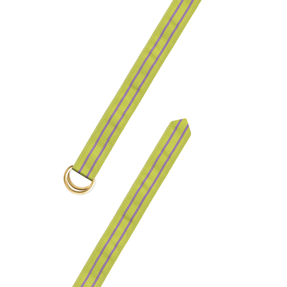 Grass Green &amp; Lavender Grosgrain Ribbon D-Ring Belt