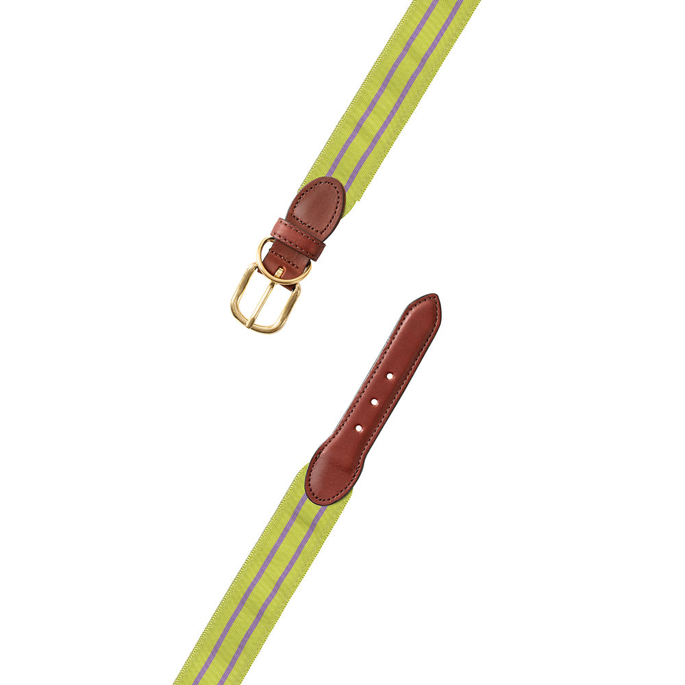 Grass Green &amp; Lavender Grosgrain Ribbon Dog Collar