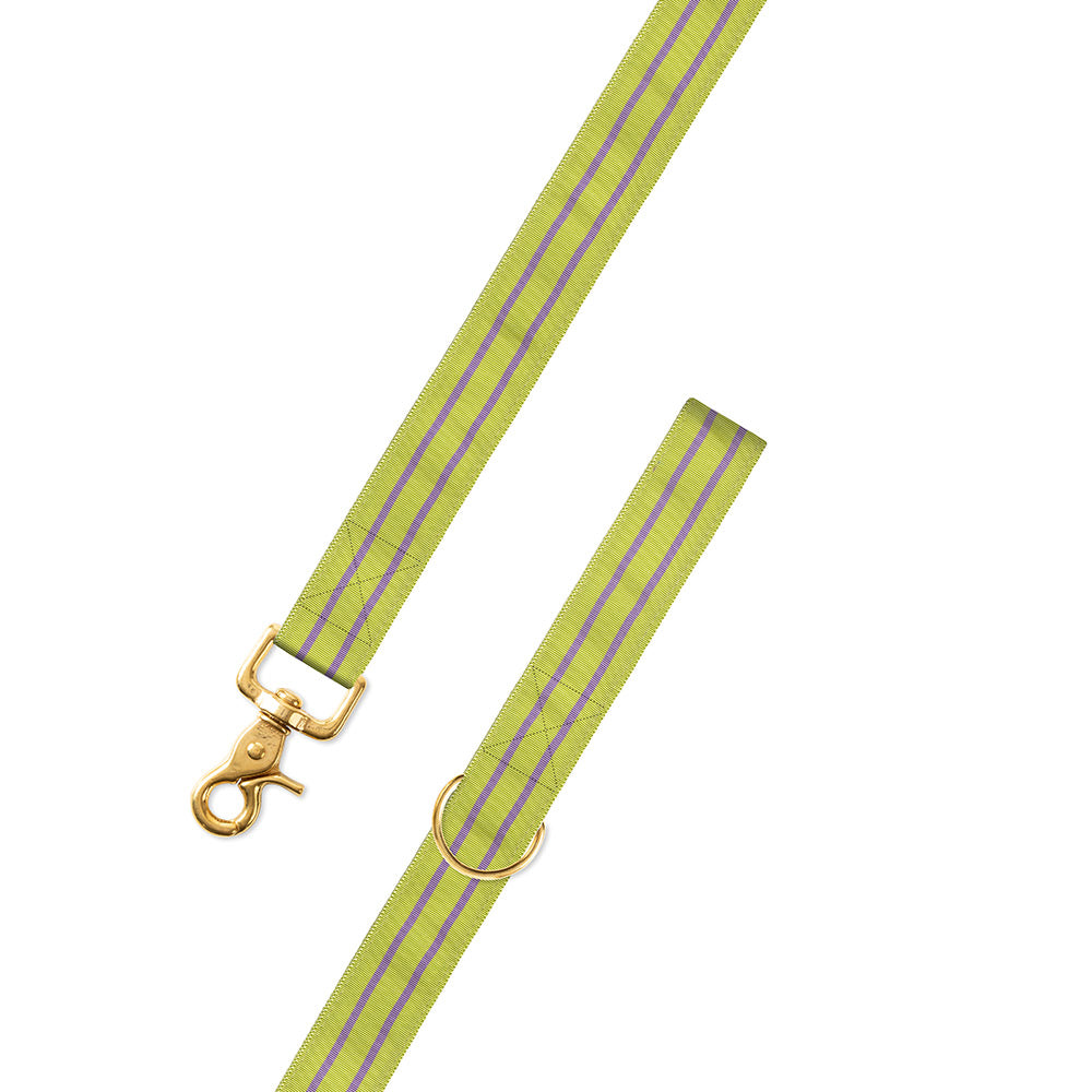 Grass Green &amp; Lavender Grosgrain Ribbon Dog Leash