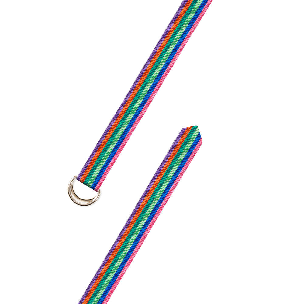 Multicolored Grosgrain Ribbon D-Ring Belt