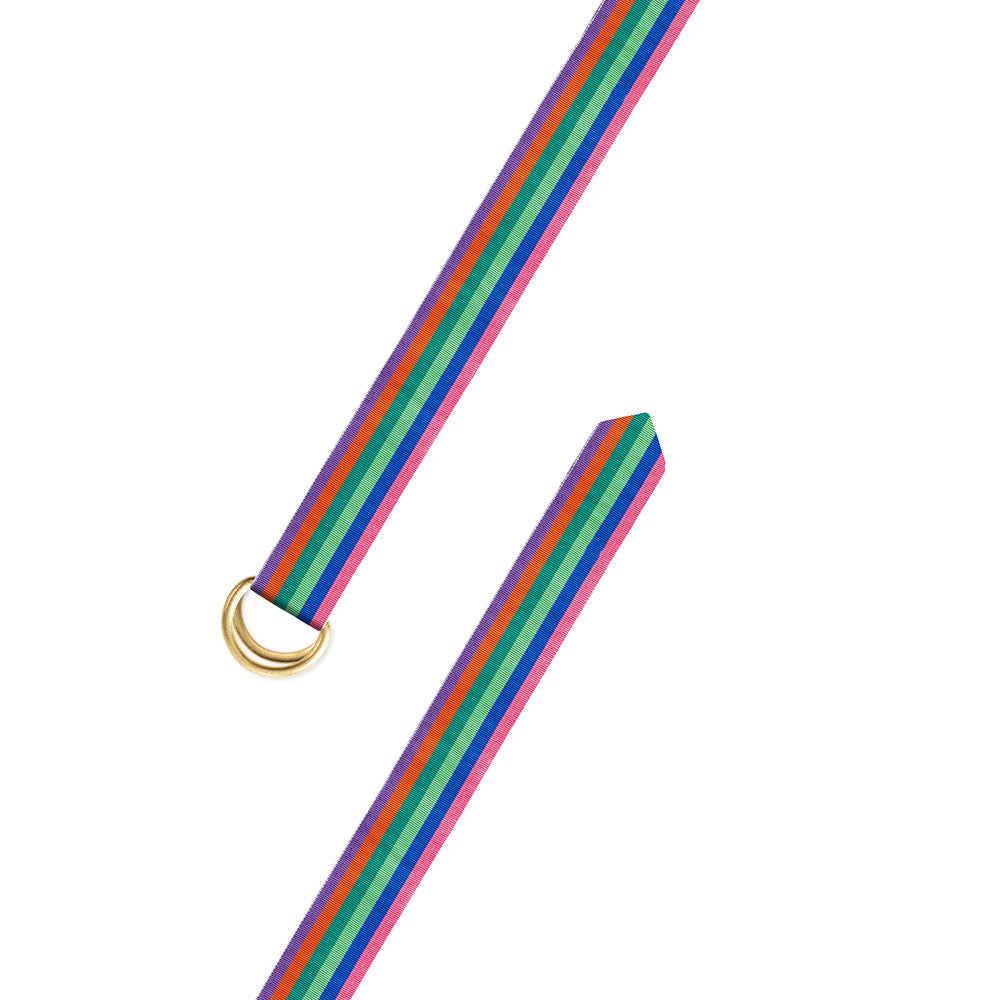 Multicolored Grosgrain Ribbon D-Ring Belt