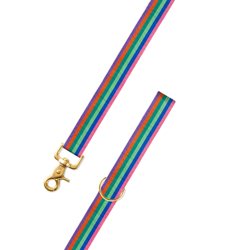 Multicolored Grosgrain Ribbon Dog Leash