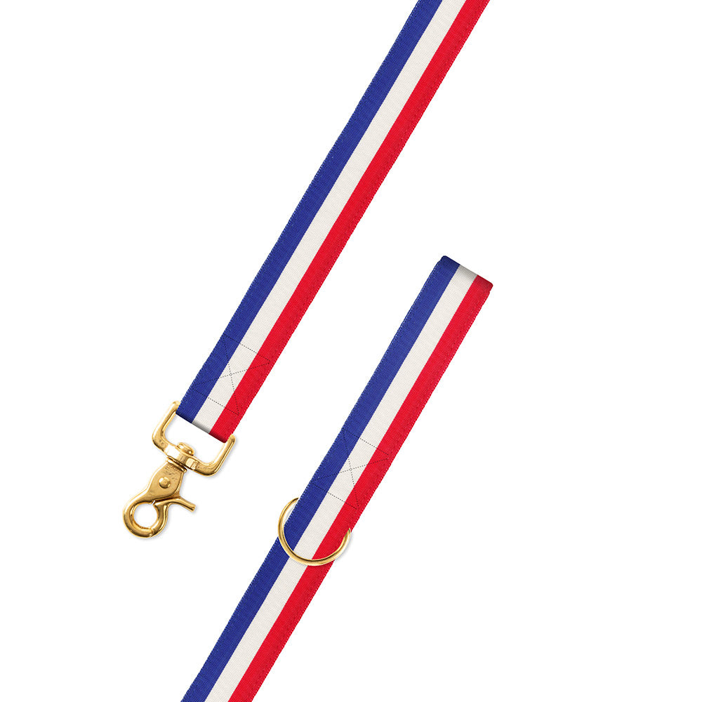Red, White &amp; Blue Grosgrain Ribbon Dog Leash