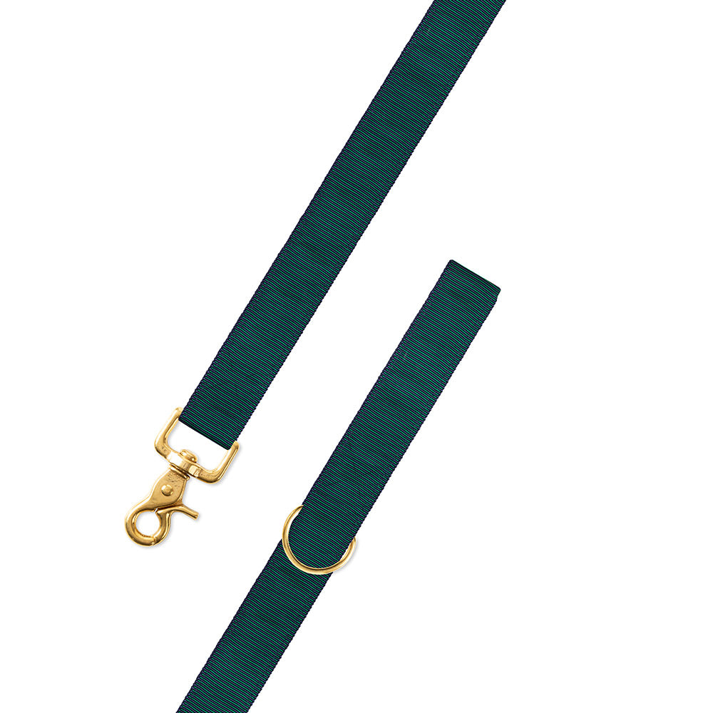 Green &amp; Navy Grosgrain Ribbon Dog Leash