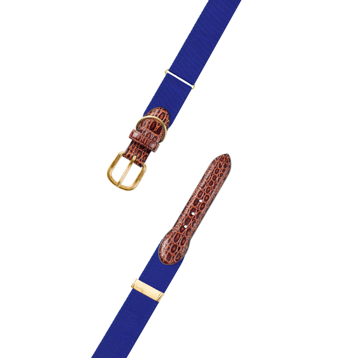 Adjustable Royal Blue Grosgrain Dog Collar with Embossed Calf Tabs