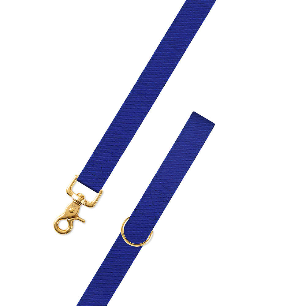 Royal Blue Grosgrain Ribbon Dog Leash