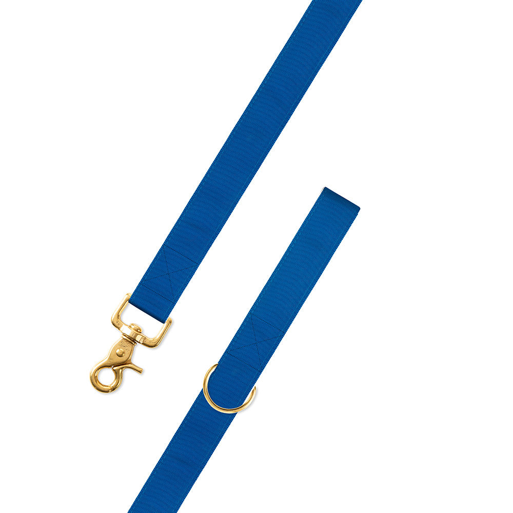 Blue Grosgrain Ribbon Dog Leash