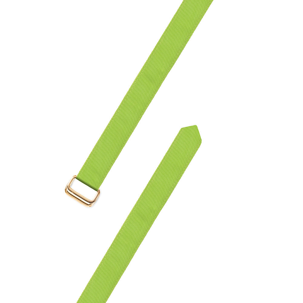 Grass Green Grosgrain Ribbon D-Ring Belt