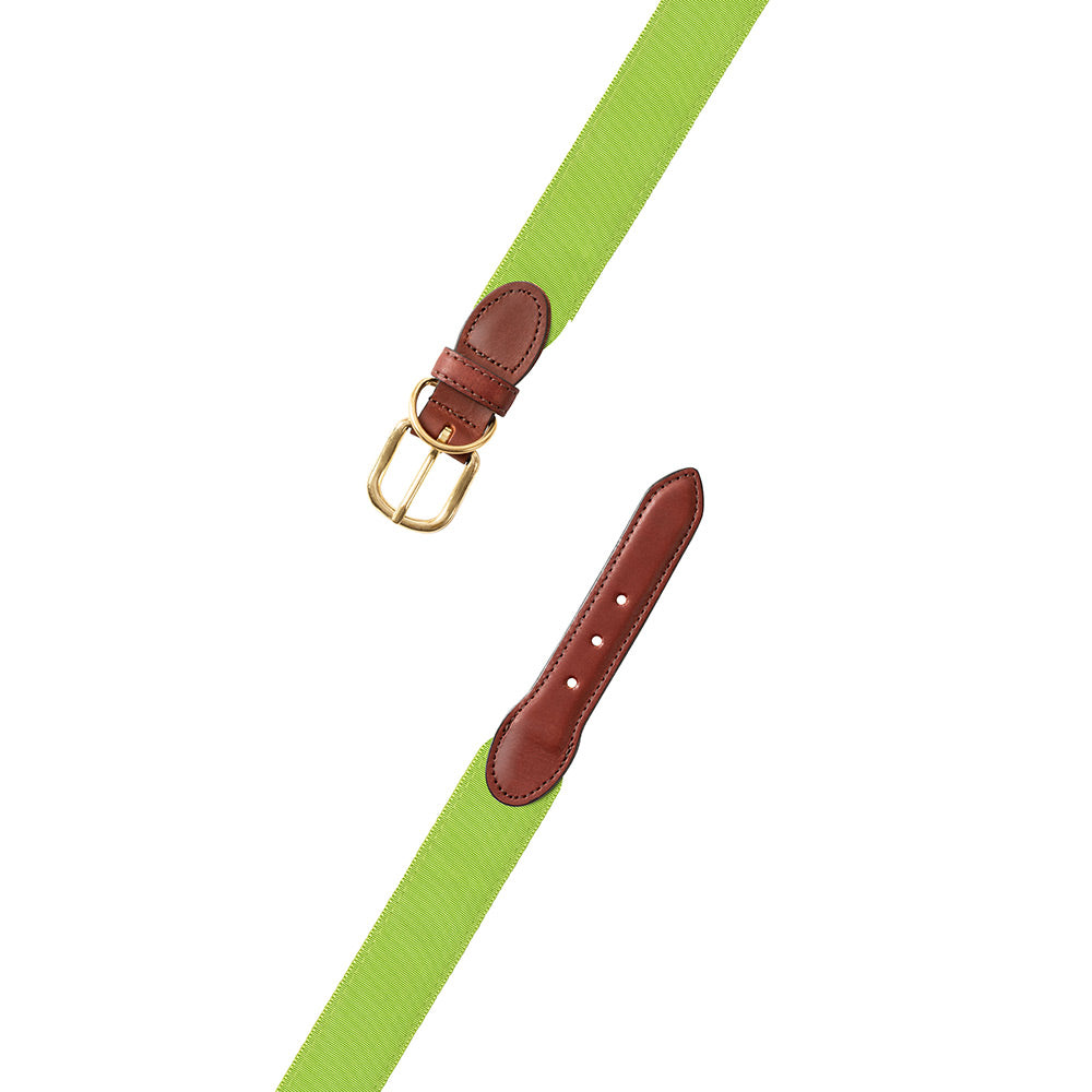 Grass Green Grosgrain Ribbon Dog Collar