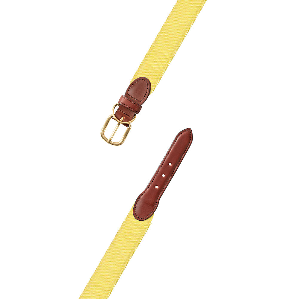 Yellow Grosgrain Ribbon Dog Collar